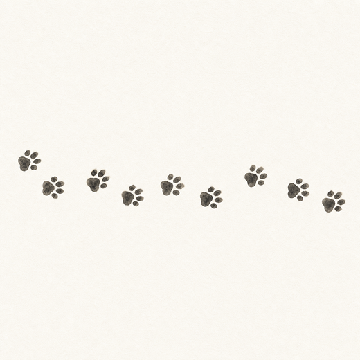 Watercolor paw prints